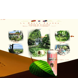 FREIE-JOURNALISTIN.AT >