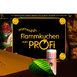 FLAMMKUCHEN-PROFI >